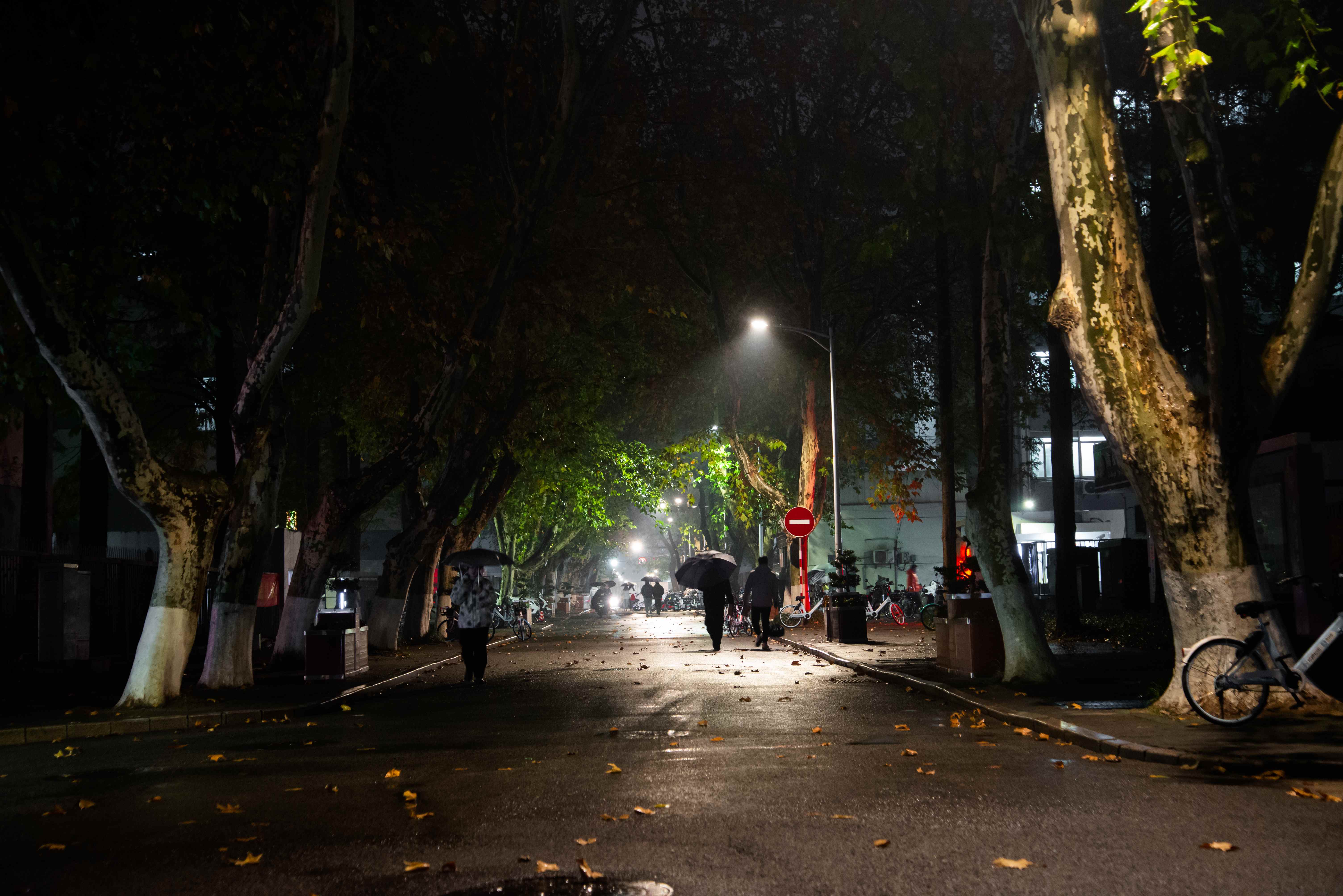 南京校区夜景